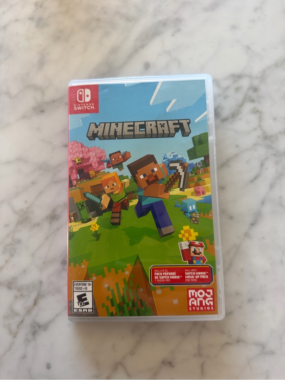 Nintendo Switch Minecraft